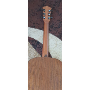 Washburn Novo S9
