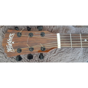 Washburn Novo S9