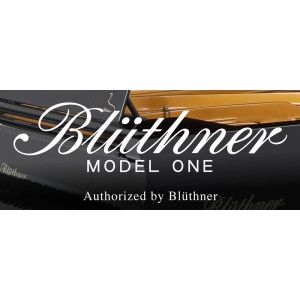 Blüthner Model 1