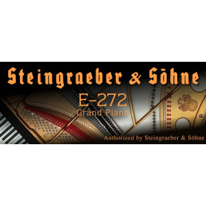 Steingraeber E-272