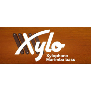 Xylo