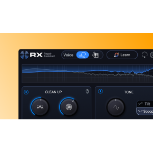 Izotope RX 12 Elements