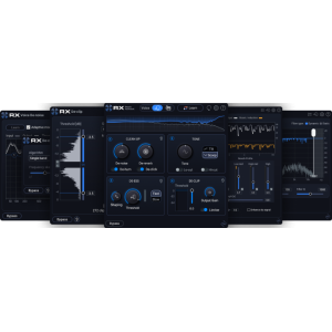 Izotope RX 12 Elements