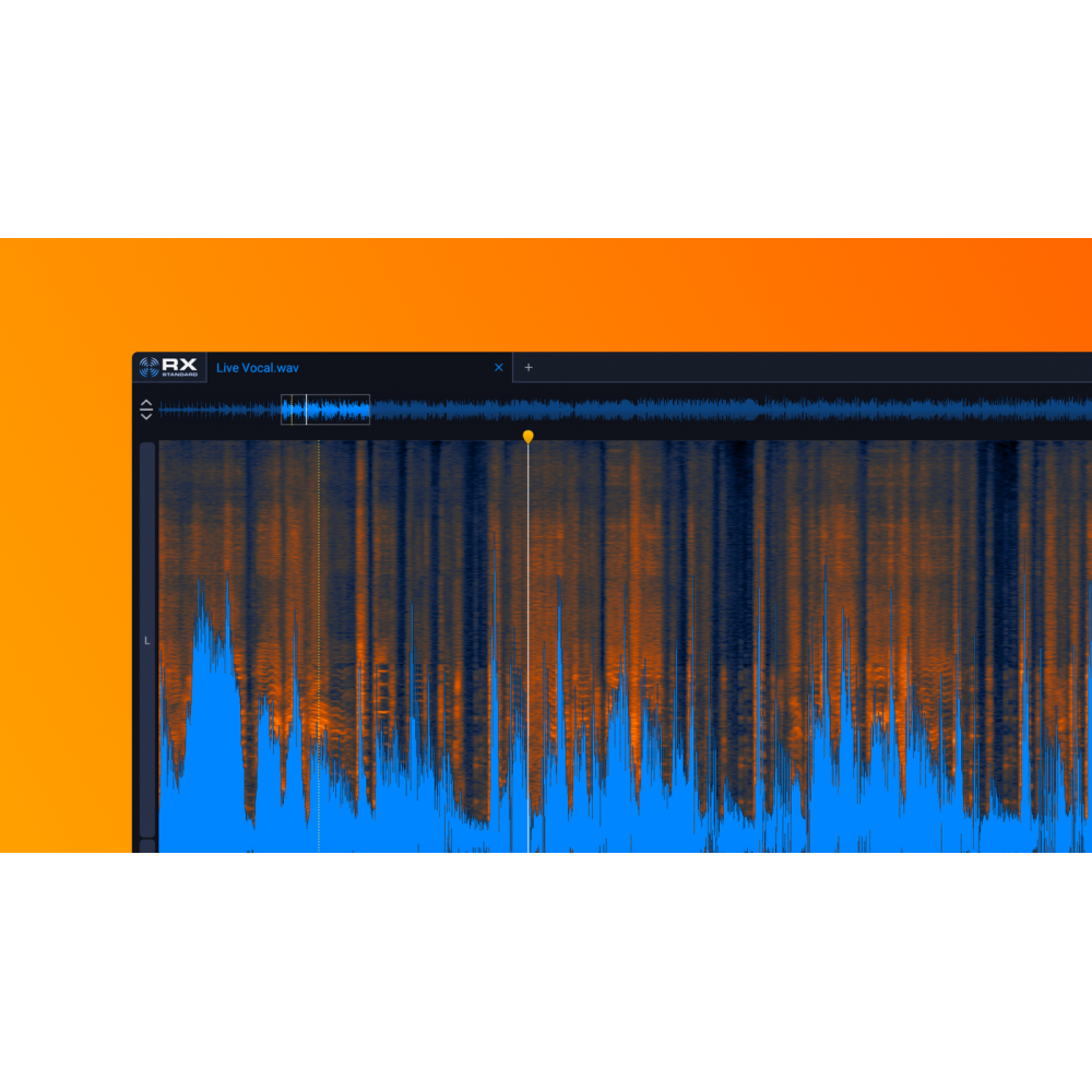Izotope RX 12 Standard