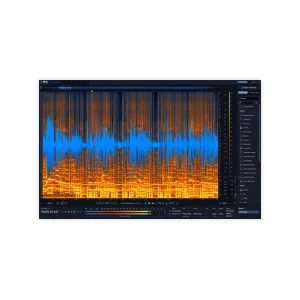 Izotope RX 12 Standard