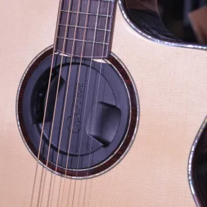 FEEDBACK-UNTERDRÜCKER | Feedback-Unterdrücker für Akustikgitarre