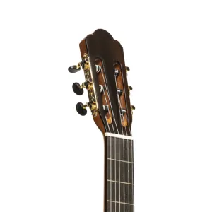 Angel Lopez Tinto SL Konzertgitarre massive Fichtendecke, Zargen und Boden aus Lacewood