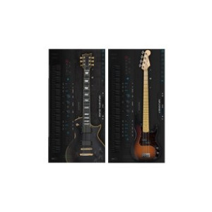 Ample Metal Eclipse, And Bass P Bundle License Transfer