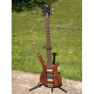Basse 5 cordes Warwick