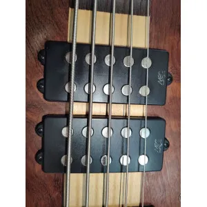 Basse 5 cordes Warwick