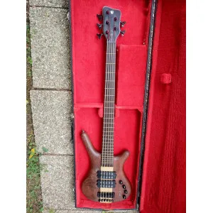 Basse 5 cordes Warwick