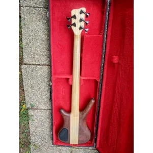 Basse 5 cordes Warwick