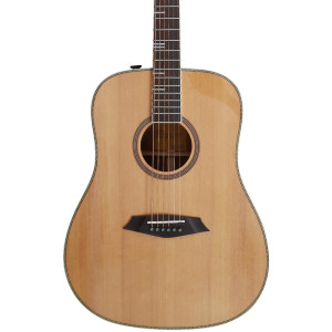 LARRY CARLTON A4 DS NAT