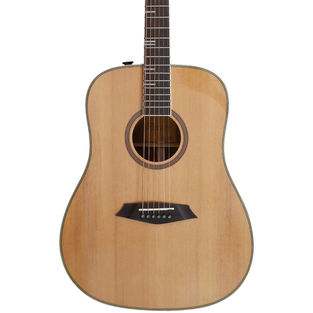 LARRY CARLTON A4 DS NAT