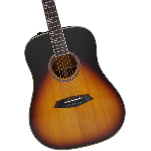 LARRY CARLTON A4 DS VS