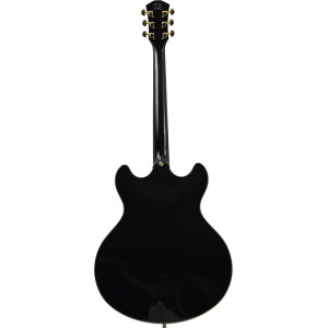 LARRY CARLTON H7V BK EN