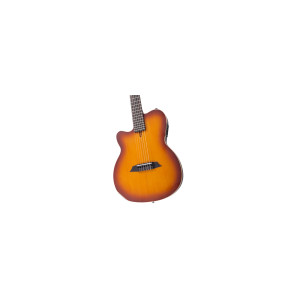 LARRY CARLTON G5N LH TS.S