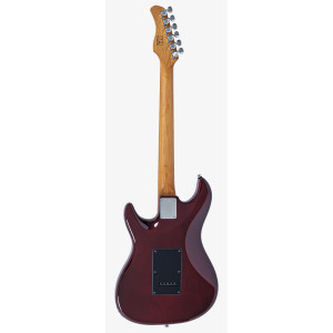 LARRY CARLTON S7 Ash Top NT