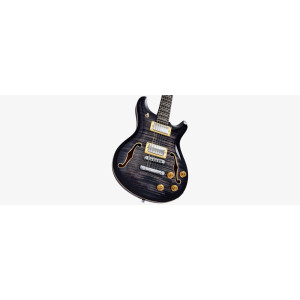 LARRY CARLTON Q7 Hollow TBK