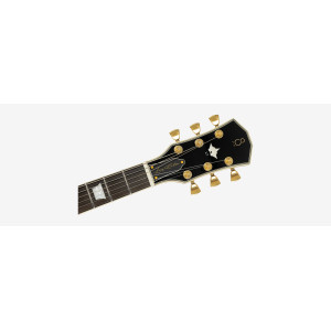 LARRY CARLTON L7V New Gen BK