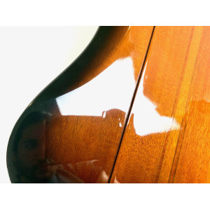 Gibson Firebird V 2009 Vintage Sunburst