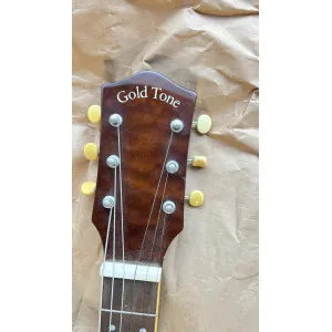 Gold Tone LS-6