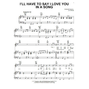 Ich werde sagen müssen, dass ich dich in einem Lied liebe