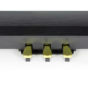 Adagio Piano Numerique Dp150bk