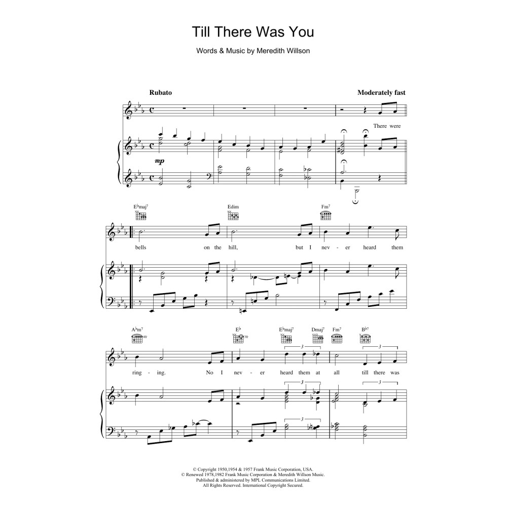 Till There Was You