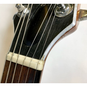 Dan Armstrong London Model 341 Mahogany 1972