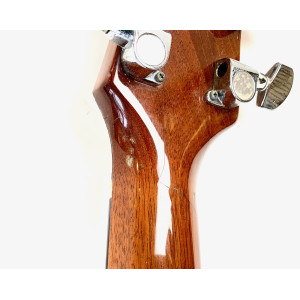 Dan Armstrong London Model 341 Mahogany 1972