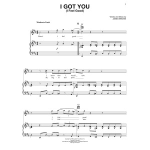 I Got You (I Feel Good)