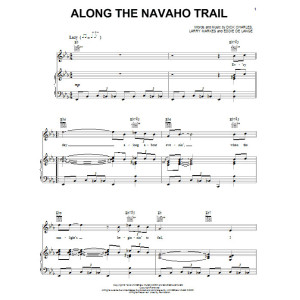 Along The Navajo Trail