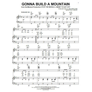 Gonna Build A Mountain