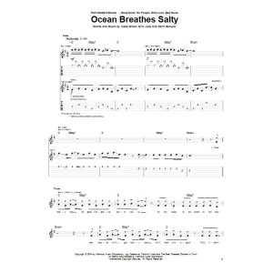 Ocean Breathes Salty