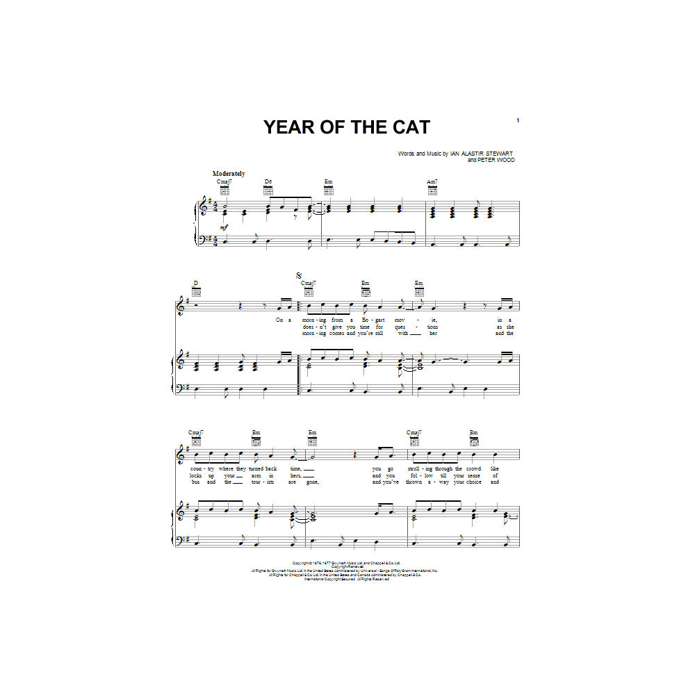 Year Of The Cat