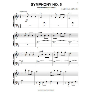 Symphony No. 5 in C Minor, First Movement Excerpt