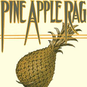 Ananas-Rag
