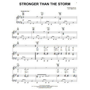 Stronger Than The Storm