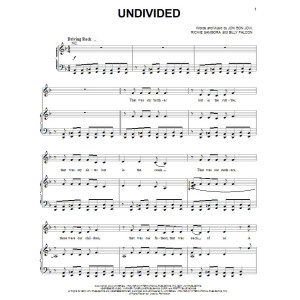 Undivided