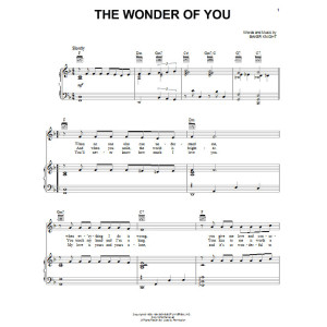 The Wonder Of You