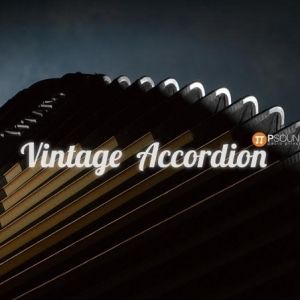 Vintage Accordion