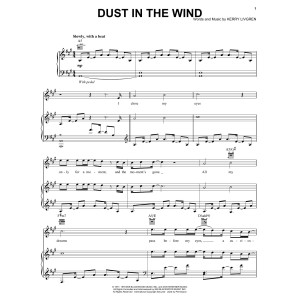 Staub Im Wind