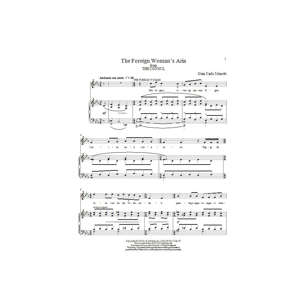 The Foreign Woman's Aria