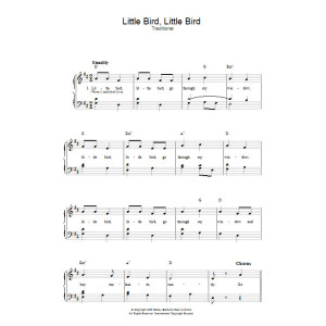 Little Bird, Little Bird