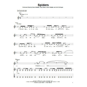 Spiders