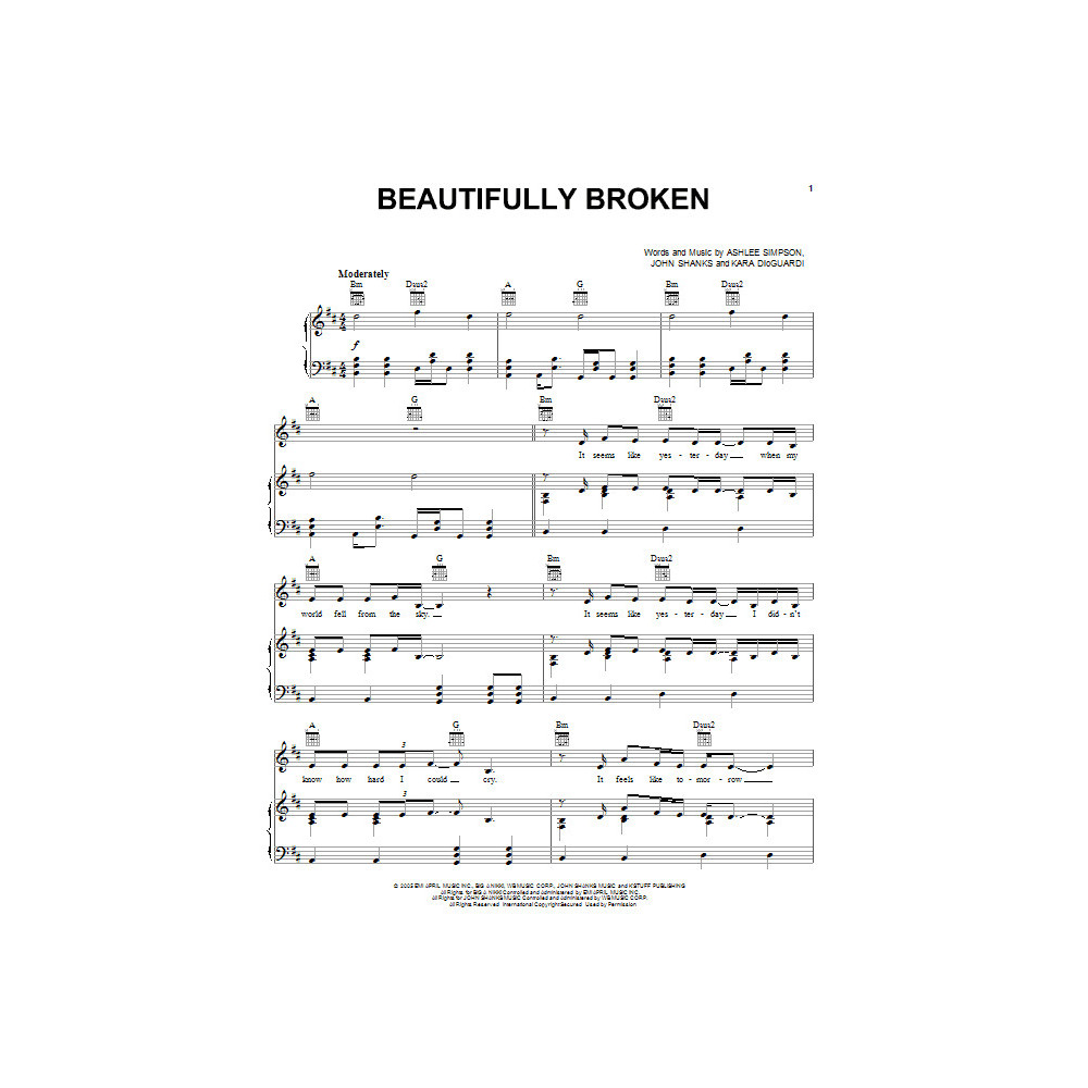 Beautifully Broken