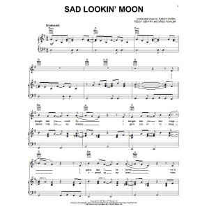 Sad Lookin' Moon