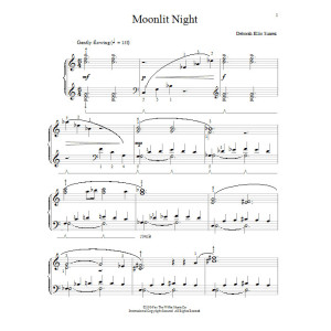 Moonlit Night