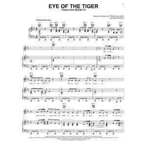 Auge des Tigers